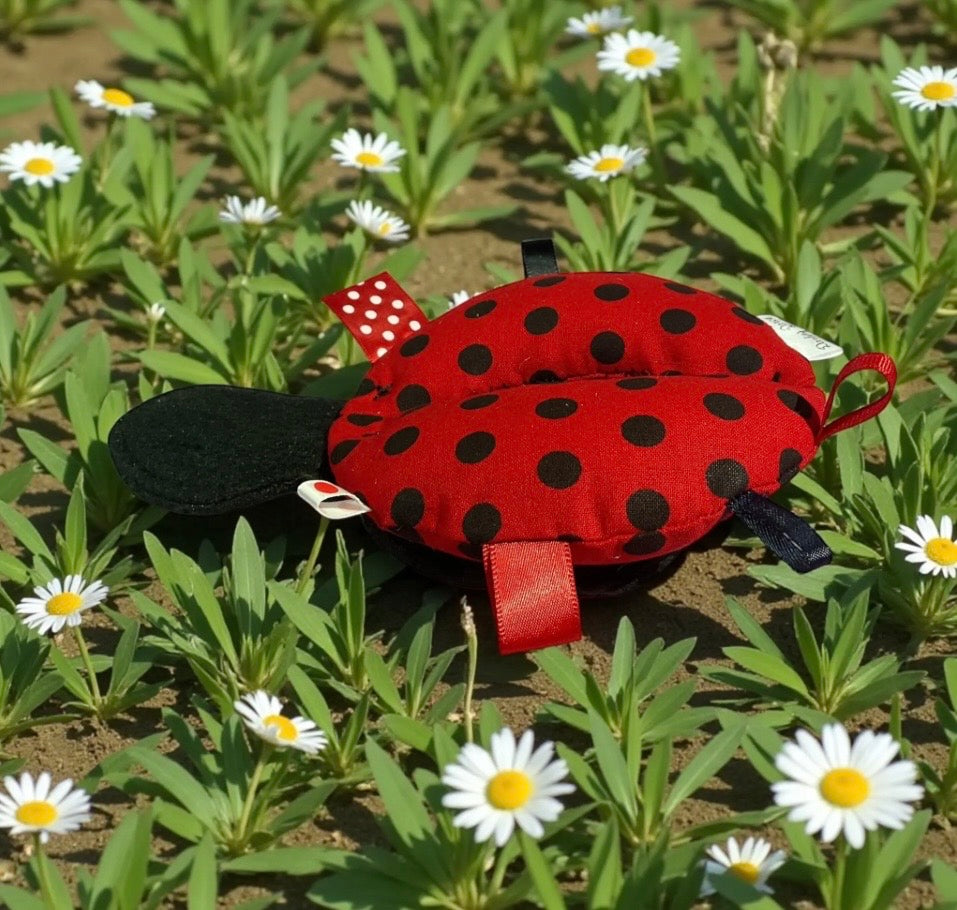 Ladybug Tag Toy: Baby Rattle Plushie with Ribbons