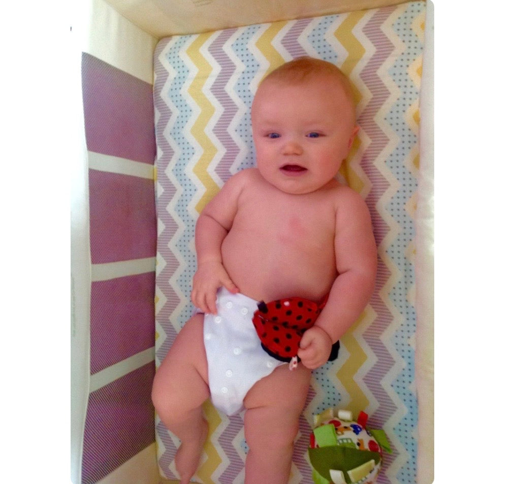 Ladybug Tag Toy: Baby Rattle Plushie with Ribbons