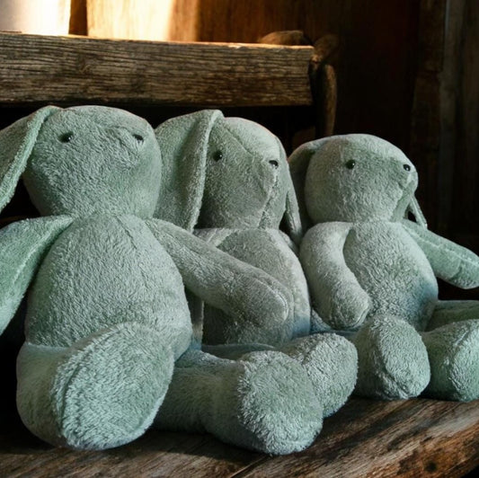 Memory Plushie Bunny Rabbit