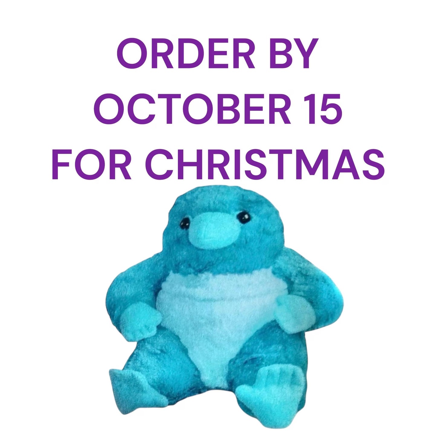 Memory Plushie Platypus