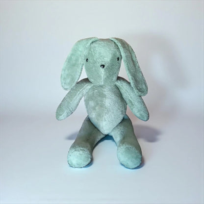 Memory Plushie Bunny Rabbit