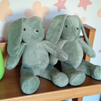 Memory Plushie Bunny Rabbit