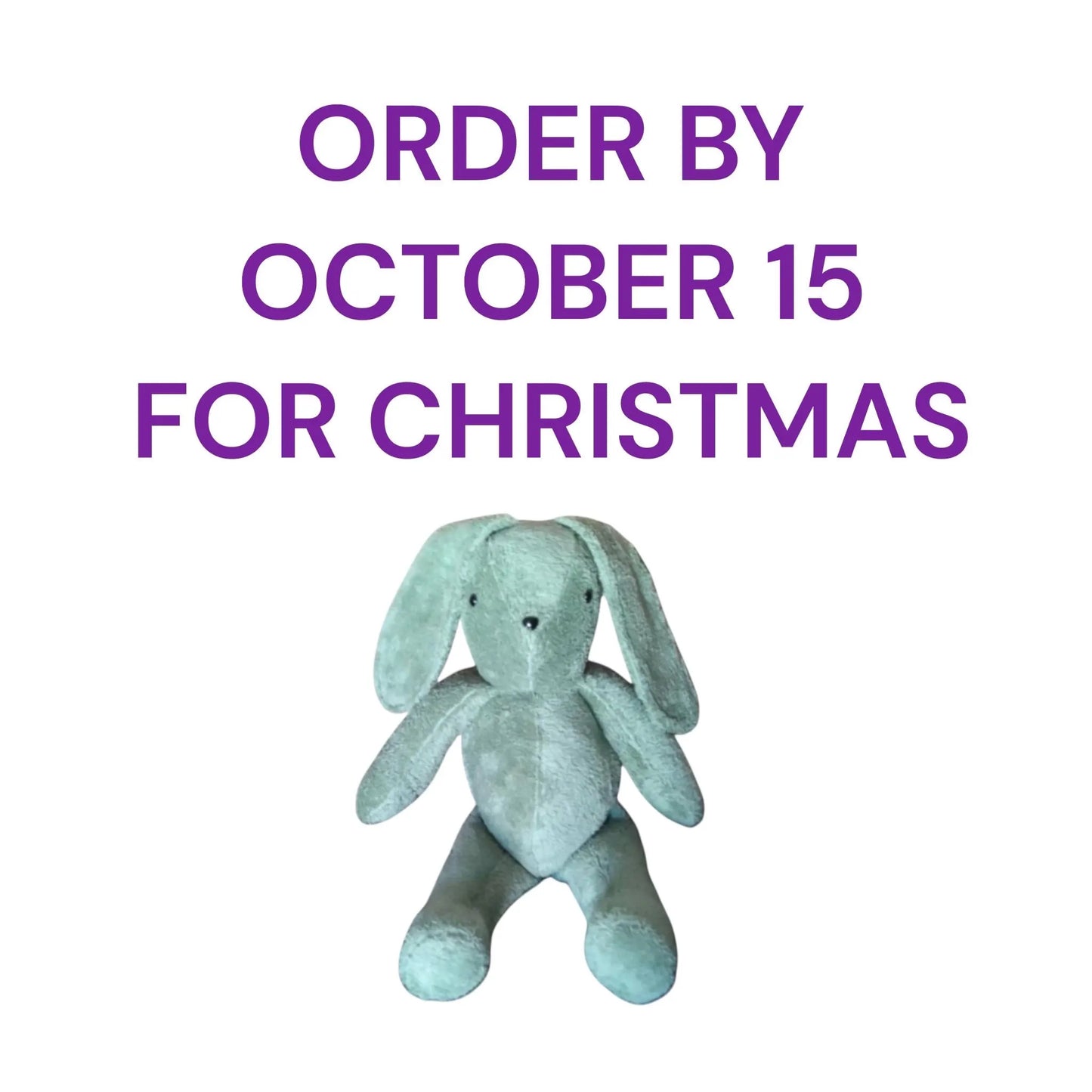 Memory Plushie Bunny Rabbit